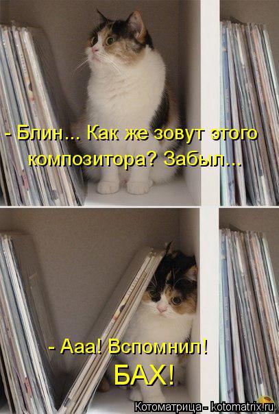 /zev/null - 15  2014  12:51
