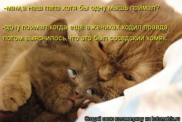 Alex Linadherent - 17  2014  14:17