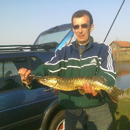 ��������, �����������, 58 ���