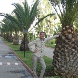 ���� ��������, ���������, 42 ���� - ��������� 20 ������ 2014