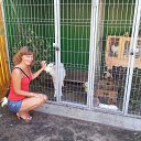 ���� ������, ����� - ��������� 11 ������� 2014 � ������ ���� ����������