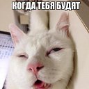 ���� ������, �������, 37 ��� - ��������� 1 ������� 2014 � ������ ���� ����������