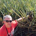 ���� ������, ������������, 54 ���� - ��������� 19 ������ 2014 � ������ ���� ����������