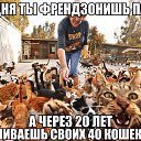 ���� �����, ������, 36 ��� - ��������� 12 ��� 2014 � ������ ������ ��������