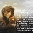 ���� ����, �����-���������, 45 ��� - ��������� 2 ���� 2014 � ������ ������ ��������