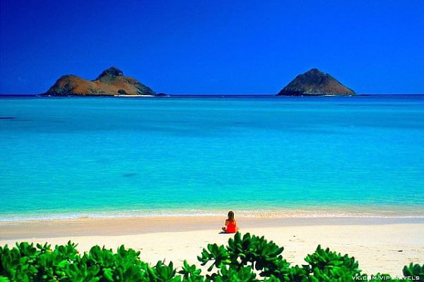 . Hawaii.