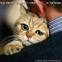 ���� �����, ���������� - ��������� 6 ������ 2014 � ������ ������ ��������