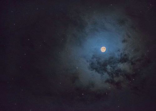 На пустом танцполе под джазовую запись они плавно покачивались, словно облачка дыма. - Почему ты ...