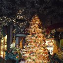 ��������, ������� ���������� �������� �� ������� ���� ����������