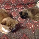 ���� �������, �����-���������, 64 ���� - ��������� 18 ���� 2014 � ������ ���� ����������