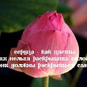 ���� ����@:), �����, 51 ��� - ��������� 7 ���� 2014 � ������ ������ ��������