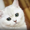 ���� ������, �������, 62 ���� - ��������� 18 ������ 2014 � ������ ���� ����������