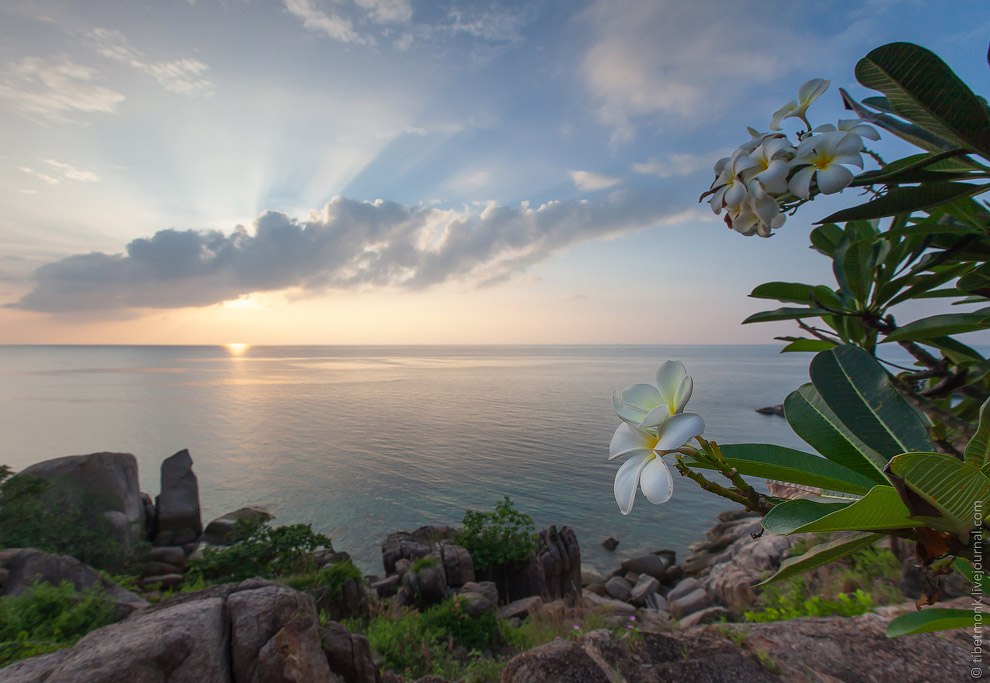 Koh Tao      ,        ... - 2