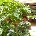  , , 61  -  15  2014    2014