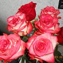 ���� �������, ��������� - ��������� 9 ���� 2014 � ������ ����� ���������