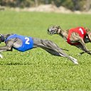 ���� ���������, ��������, 45 ��� - ��������� 12 ���� 2014 � ������ ������߻