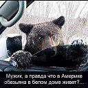 ���� ��������, �����������, 46 ��� - ��������� 27 ��� 2014 � ������ ������ ��������
