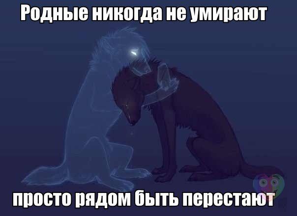  - 2  2014  15:48