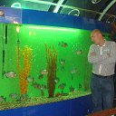 ���� �������, ������������, 44 ���� - ��������� 11 ��� 2014 � ������ ���� ����������