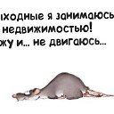 ���� ������, �����, 34 ���� - ��������� 3 ������� 2014 � ������ ������ ��������