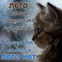���� ������, ������������, 50 ��� - ��������� 2 ���� 2014 � ������ ������ ��������