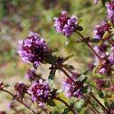 3.07.2014 �� ������� �� ��� - ��������!!!)))�