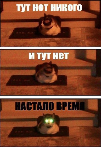   :3 - 5  2014  14:26