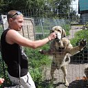 ���� ����, �����-���������, 34 ���� - ��������� 4 ������� 2014 � ������ ���� ����������