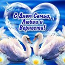 ���� ������, ������ - ��������� 8 ���� 2014 � ������ ������ ��������