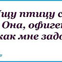 ���� ������, ����� - ��������� 12 ���� 2014 � ������ ���������