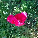 ���� ������, ������������� - ��������� 18 ��� 2014 � ������ �����.����.���