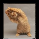 ���� ����, �������, 37 ��� - ��������� 17 ��� 2014 � ������ ���� ����������