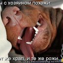 ���� �������, ��������-��-������, 48 ��� - ��������� 9 ������� 2014 � ������ ������ ��������