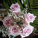 ���� �������, ��������� - ��������� 9 ���� 2014 � ������ ����� ���������