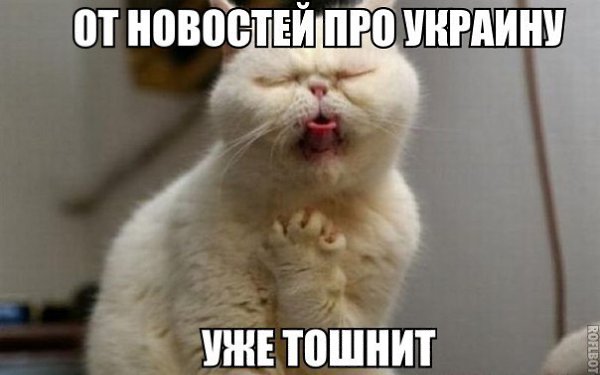    :D - 21  2014  15:19