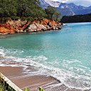  Necip, , 44  -  16  2014    2014