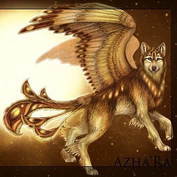 �����, ������ ��������