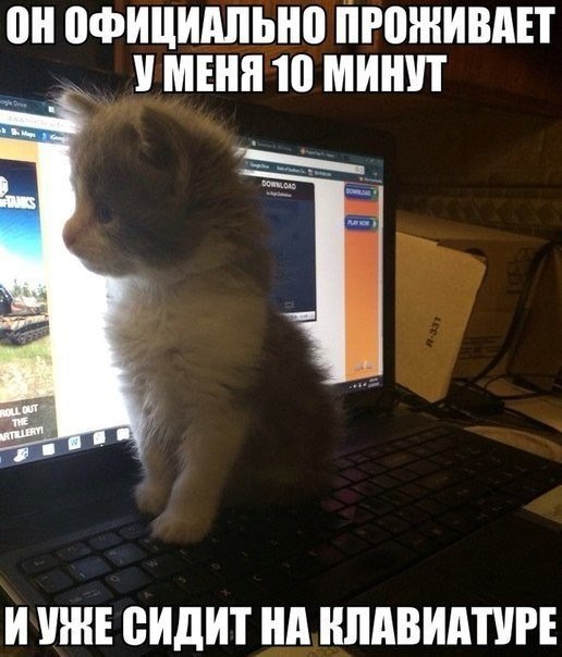  - 20  2014  12:27