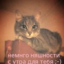 ���� �����, �����������, 38 ��� - ��������� 16 ������� 2014 � ������ �����������