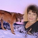 ���� �����, ������ - ��������� 14 ������� 2014 � ������ ���� ����������