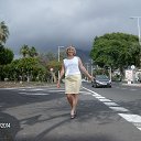���� ����, ������ - ��������� 29 ������ 2014 � ������ ���� ����������