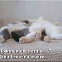 ���� �����, ������������ - ��������� 5 ������ 2014 � ������ �������, ���� ������� ��������.�