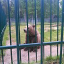 ���� Sergej, ������, 51 ��� - ��������� 11 ���� 2014 � ������ ���� ����������