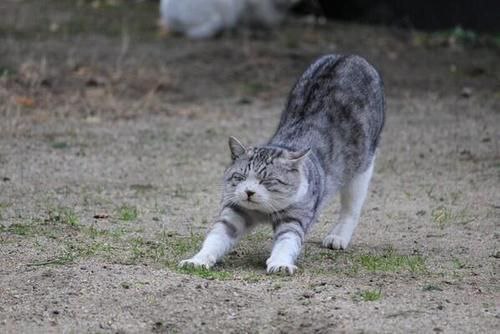   :3