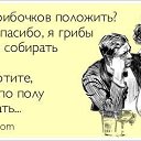 ���� �����, ������, 51 ��� - ��������� 31 ��� 2014 � ������ ������ ��������