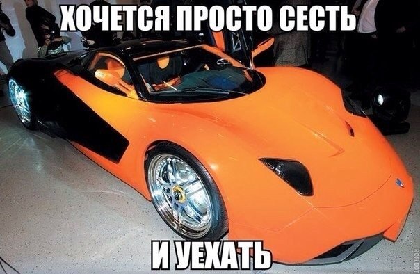  (18+) - 16  2014  12:02
