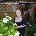 ���� � ���� �� ������� ���� ����������