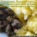 ���� �������, �������� - ��������� 29 ��� 2014 � ������ ������ ��������