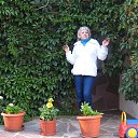 ���� �������, ������������ - ��������� 10 ������� 2014 � ������ ���� ����������