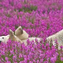  (   !!!!!!),  -  9  2014    